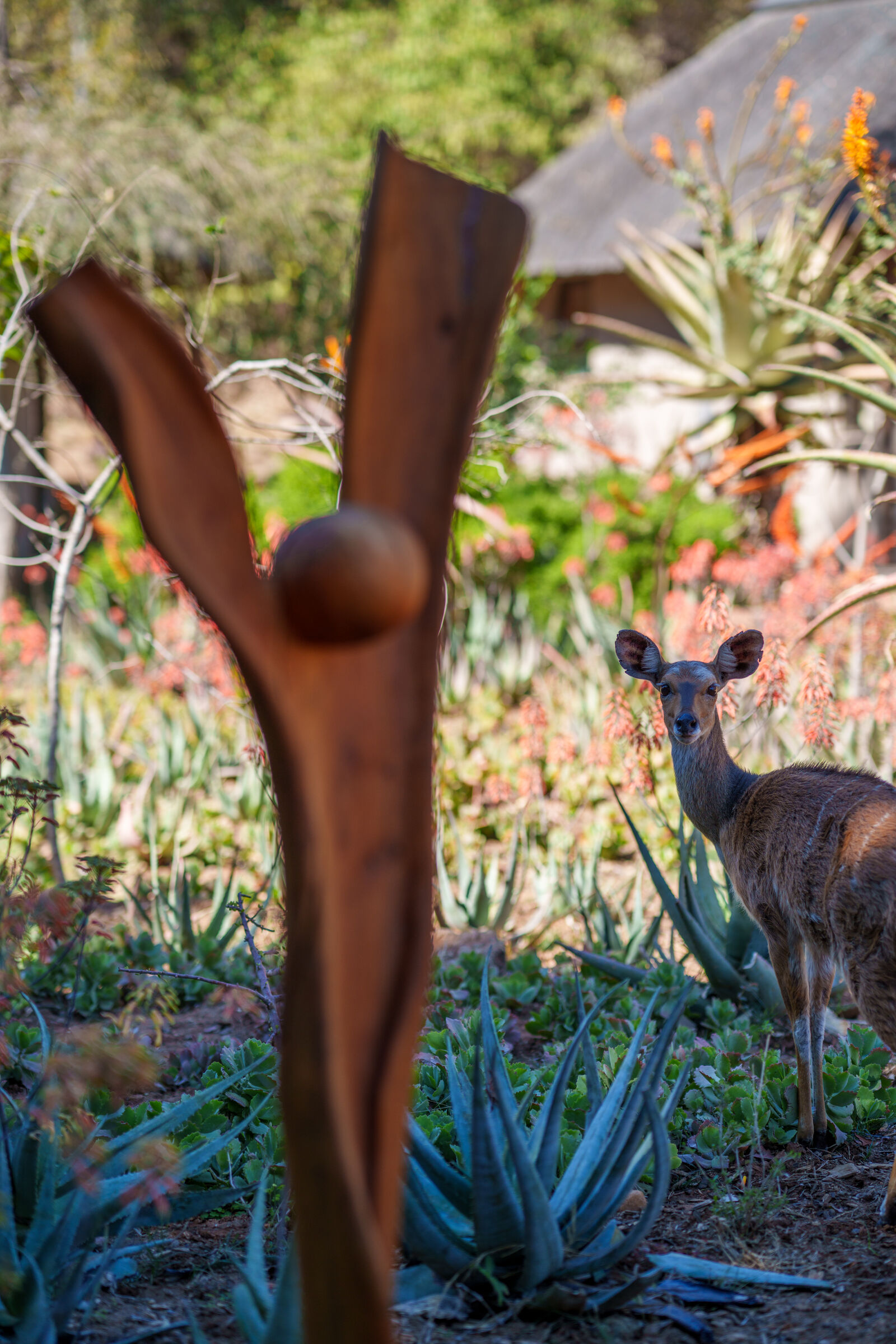 Lodge garden with sculpture and wildlife
