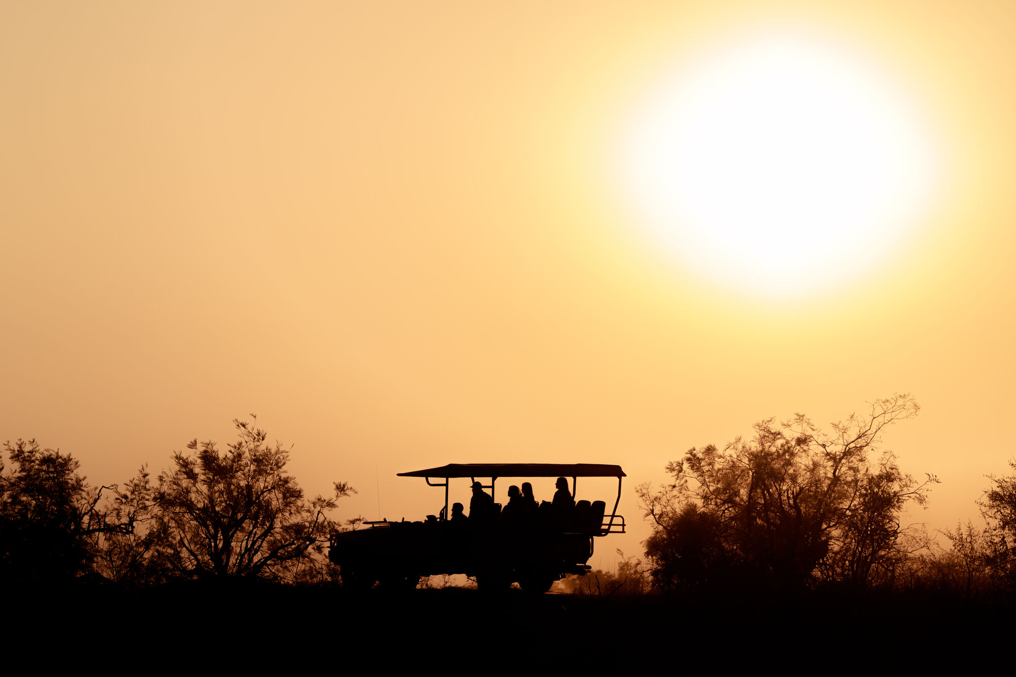 Open game drive vehicle in the African wilderness